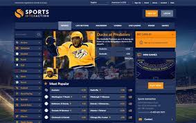 sportsinteraction website